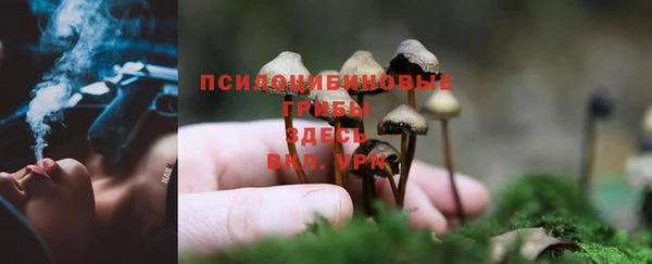 каннабис Новозыбков