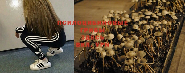 марихуана Новодвинск