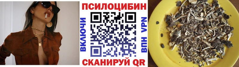 Псилоцибиновые грибы GOLDEN TEACHER  ссылка на мегу ТОР  Подпорожье 